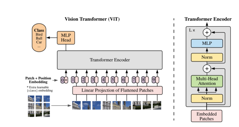 ViT模型结构